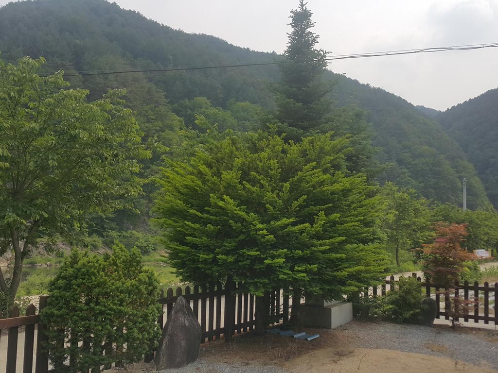 Pyeongchang River House Extérieur photo